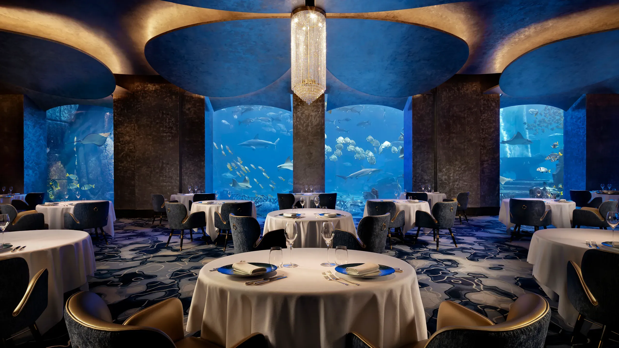 https://marn.com/blog/wp-content/uploads/phy2023.din_.oss_.restaurant-lr.webp