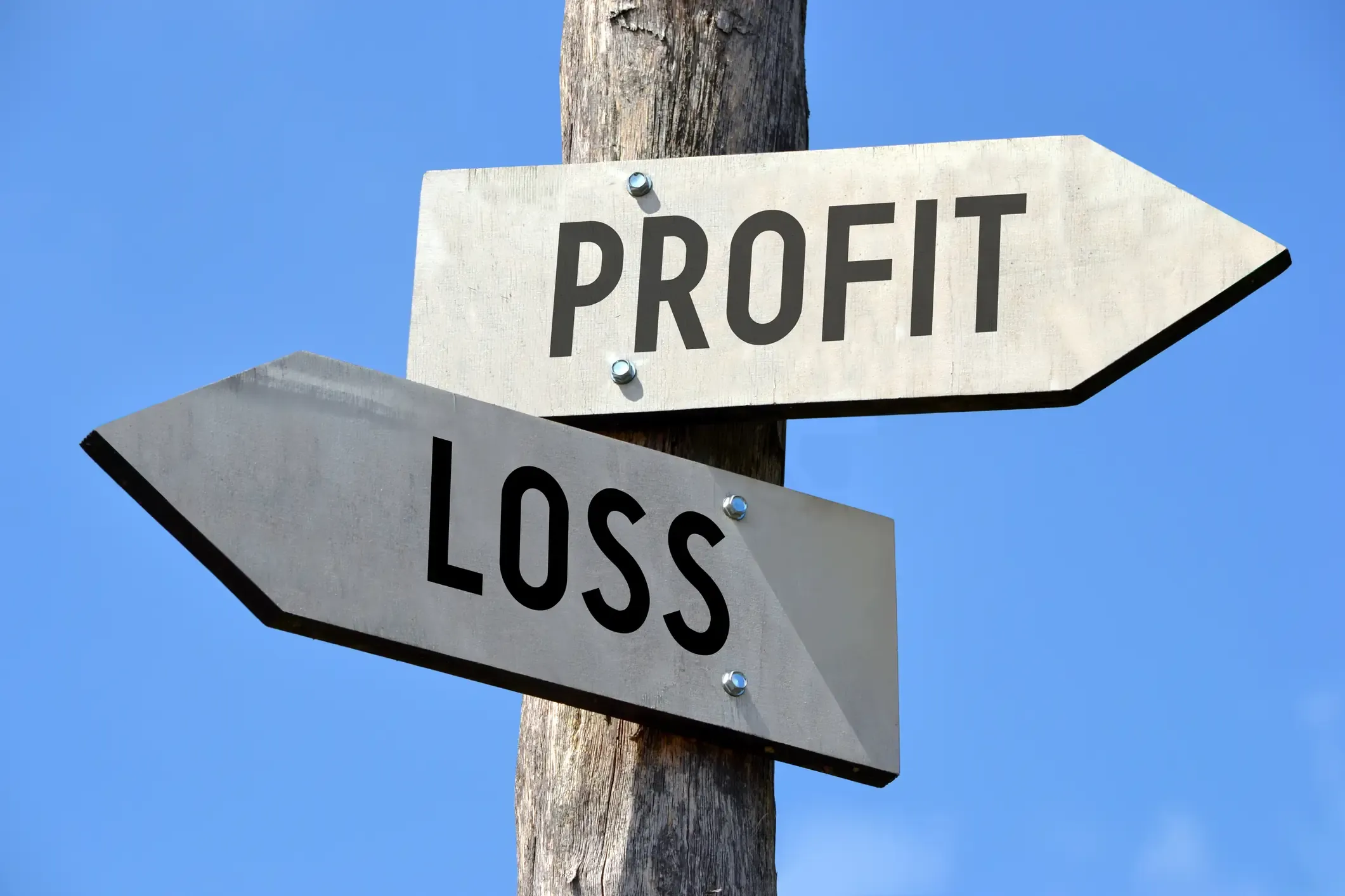 https://marn.com/blog/wp-content/uploads/profit-and-loss.webp